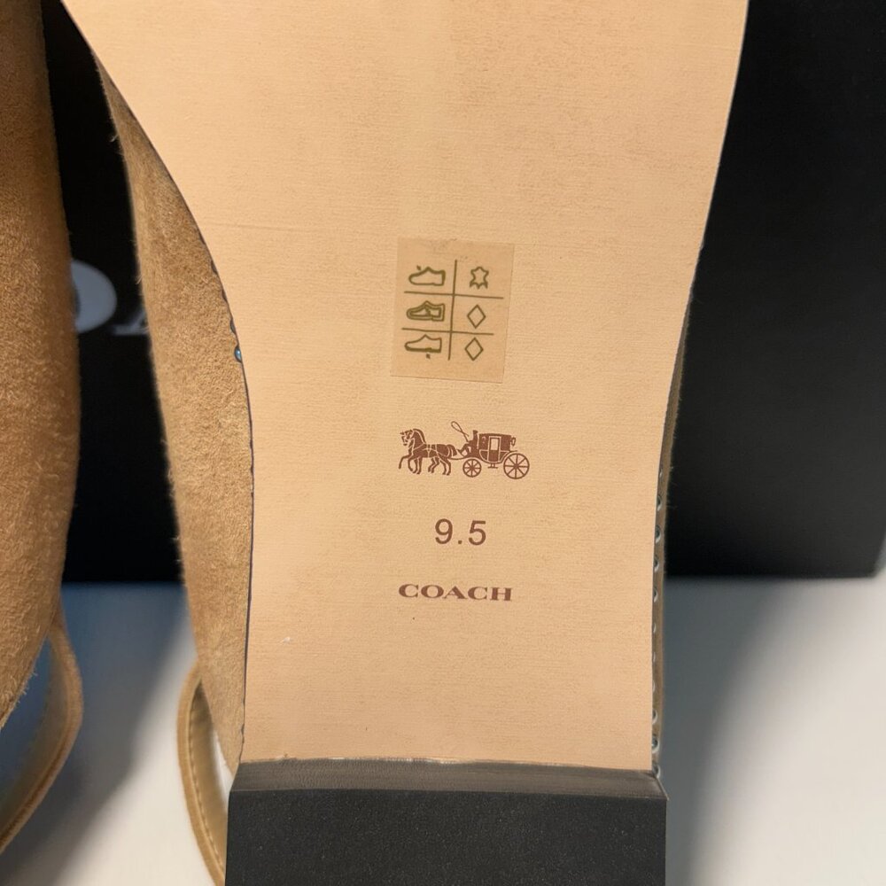 Coach Women's VAE Suede Skimmer Ballet Flat - Picture 12 of 14